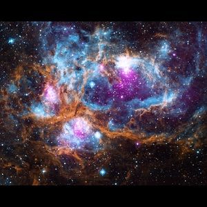 Meet your Posher, Maurice